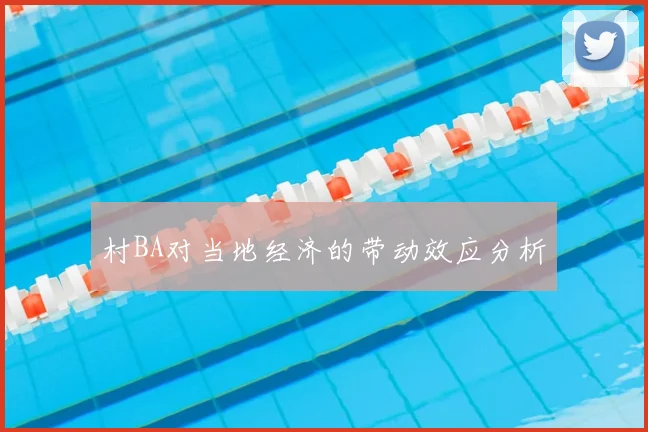 村BA对当地经济的带动效应分析