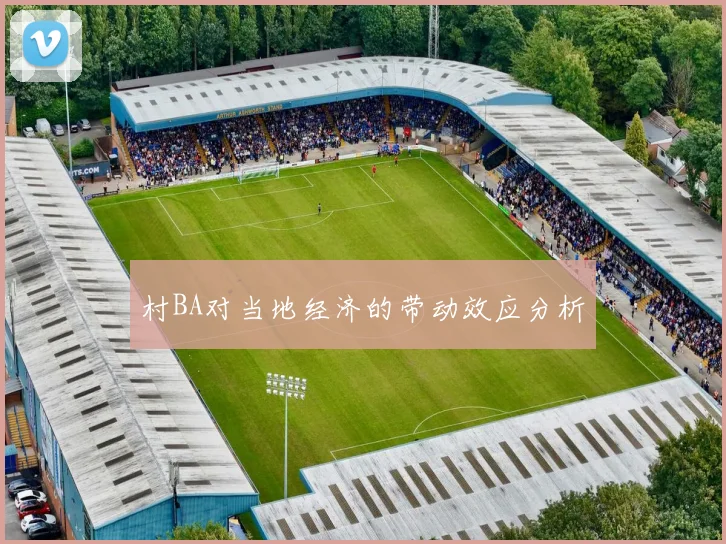 村BA对当地经济的带动效应分析