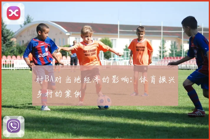 村BA对当地经济的影响：体育振兴乡村的案例